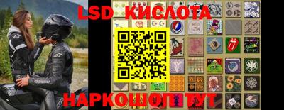 spice Бердск
