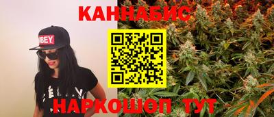 spice Бердск