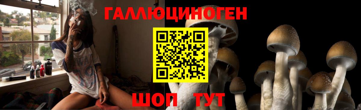 Иваново  Псилоцибиновые грибы Psilocybe  Вход с VPN 